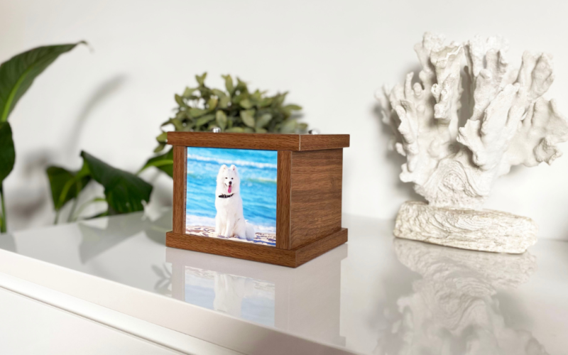 pet_cremation
